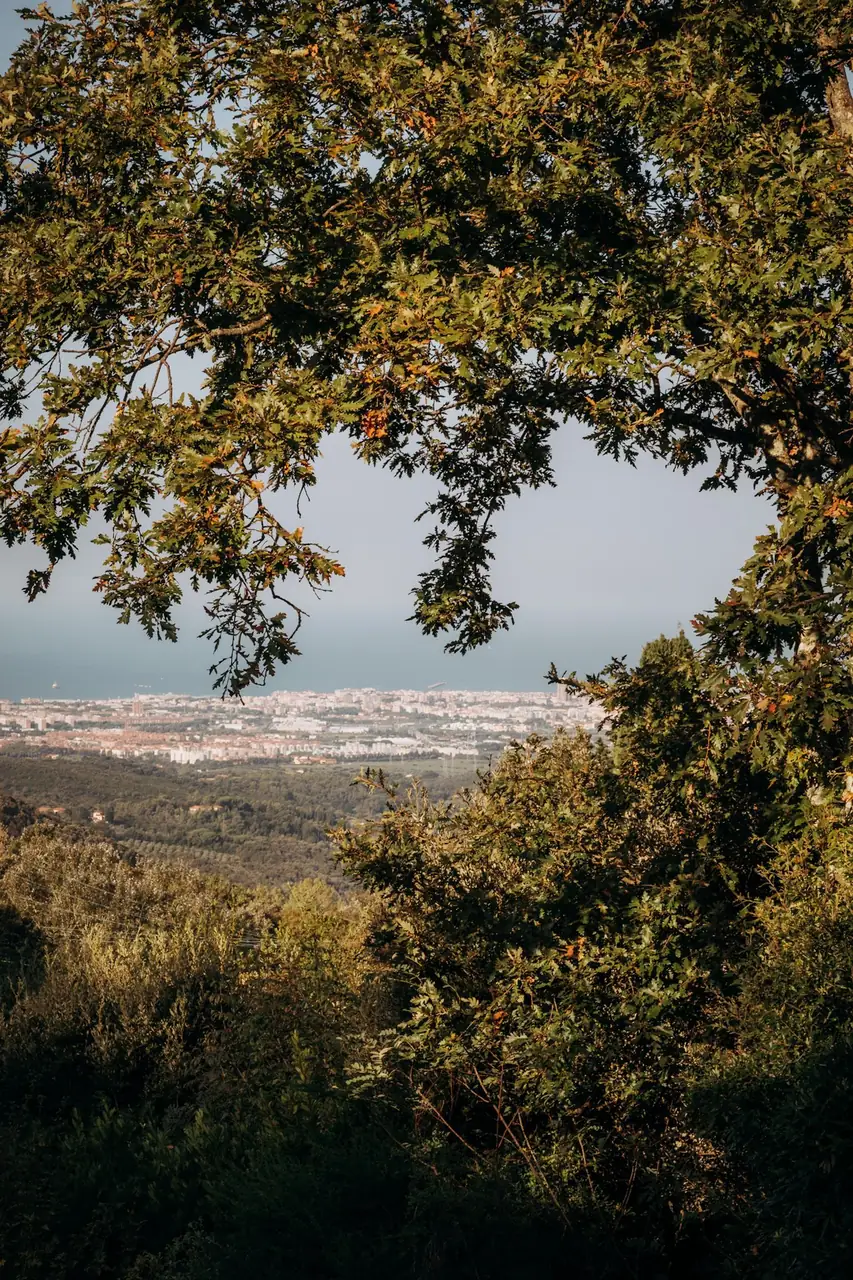 Partecipante in meditazione seduta, vista sulle colline di Valle Benedetta