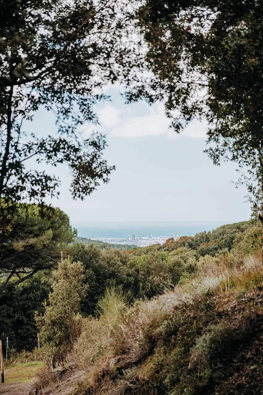 Vista sulla vallata dai boschi di Valle Benedetta